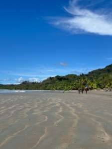 Things To Do in Guanacaste Costa Rica—Your Guide to the Golden Beach Region img 7472