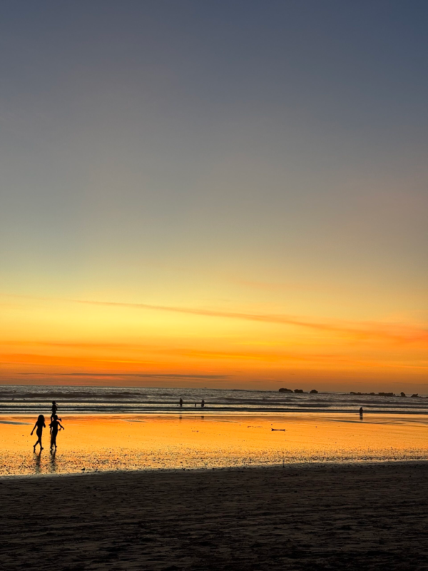 img 8325.webp