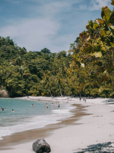 Things To Do in Guanacaste Costa Rica—Your Guide to the Golden Beach Region lisa van vliet kt fnmwpxgq unsplash