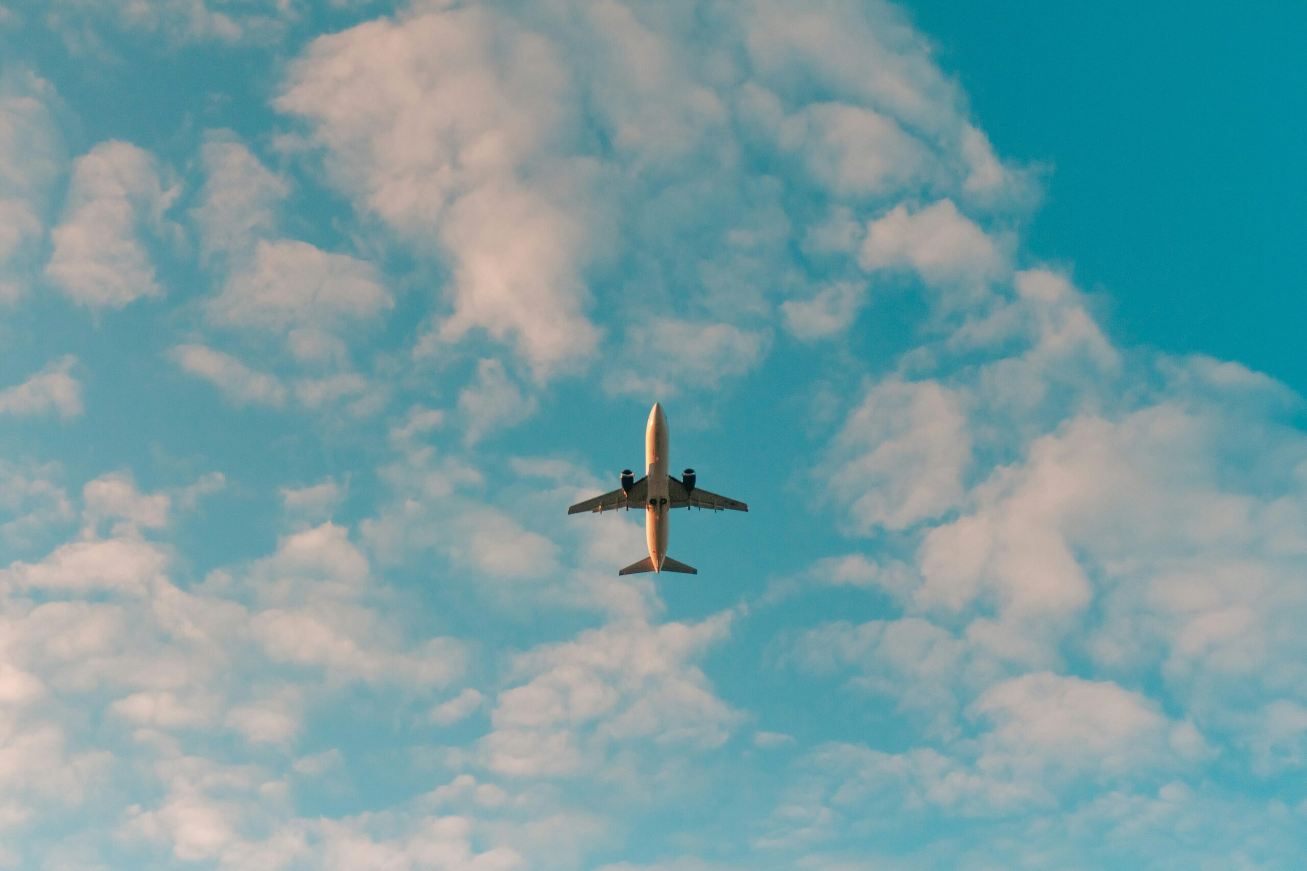 Solo Travel Coaching Services